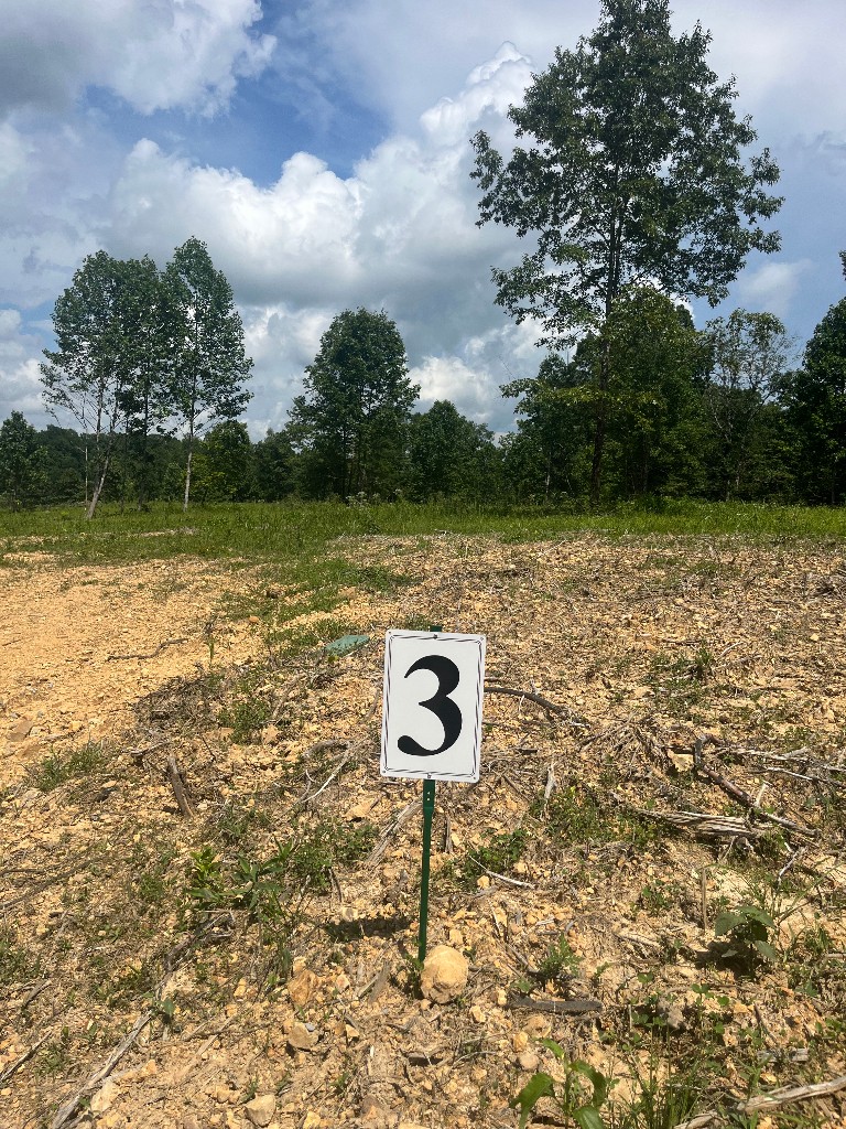 10898 Back Piney Road Bon Aqua, TN 37025 - Photo 3 of 6 a view of a lake from a yard