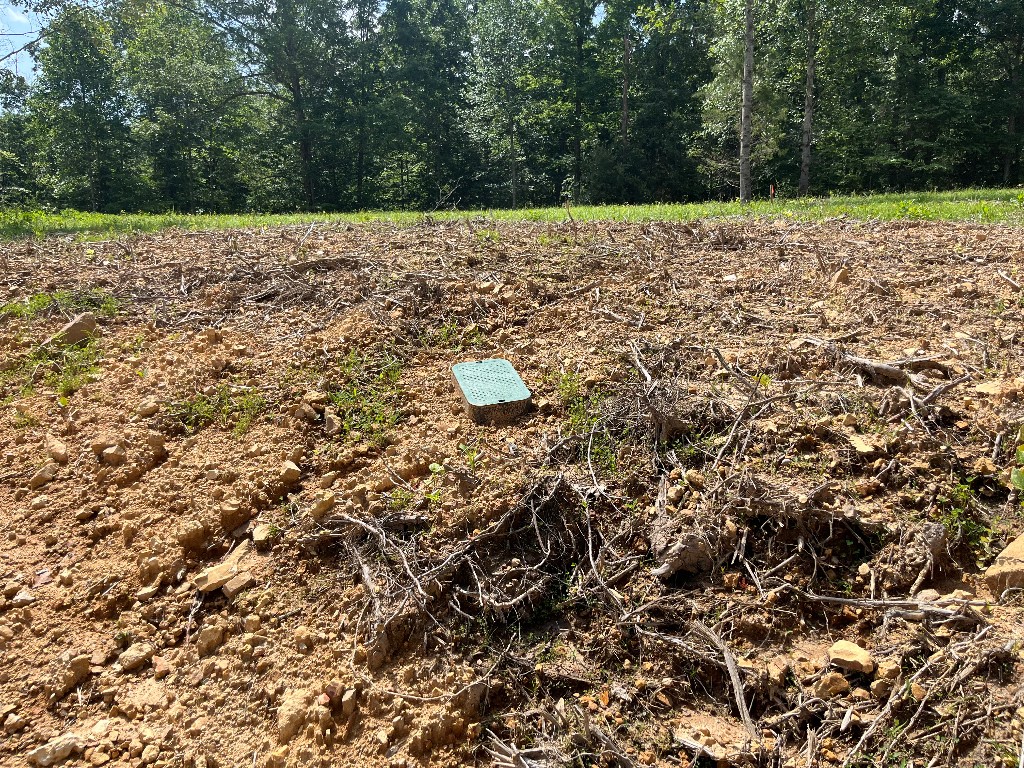 10898 Back Piney Road Bon Aqua, TN 37025 - Photo 4 of 6 a view of a yard