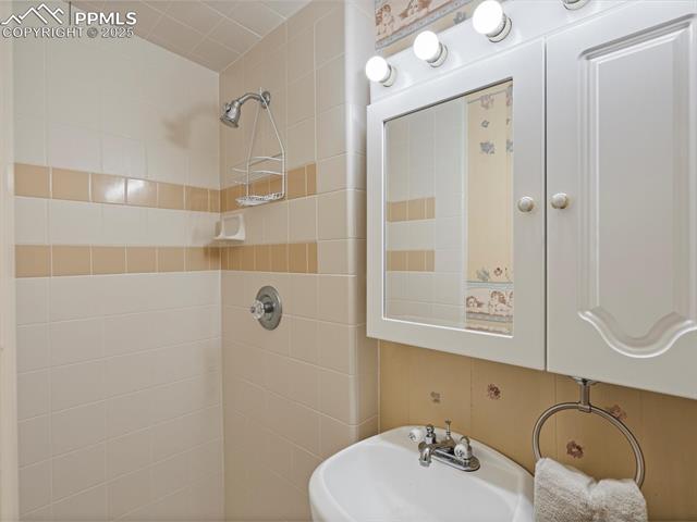 103 Alpine Road Woodland Park, CO 80863 - Photo 44 of 47 Gallery Image 44