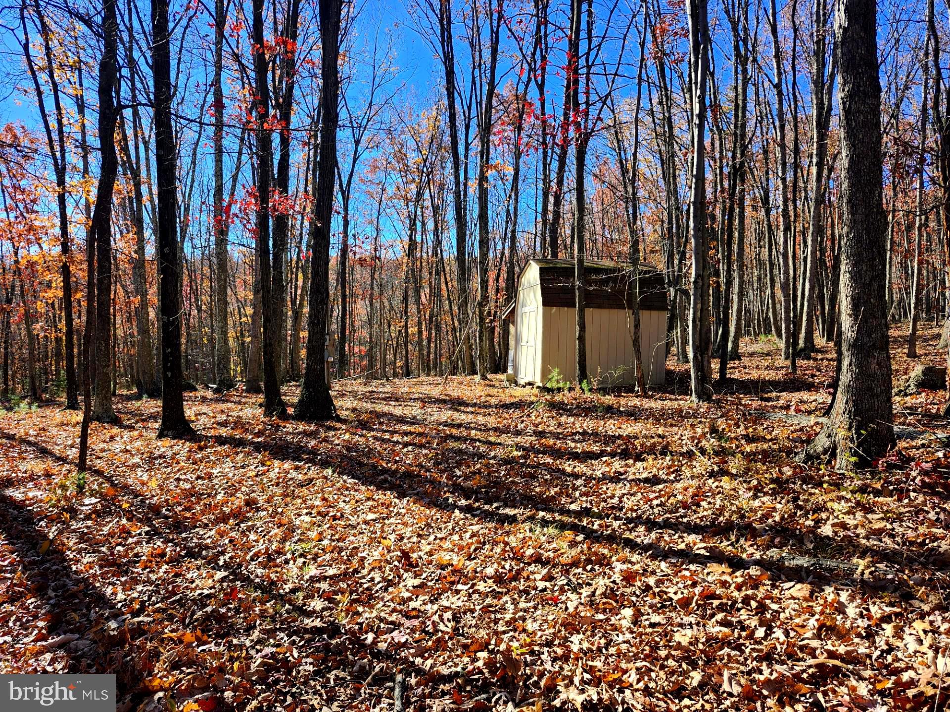 NICE PIECE OF LAND! STORAGE BUILDING & ELECTRIC!