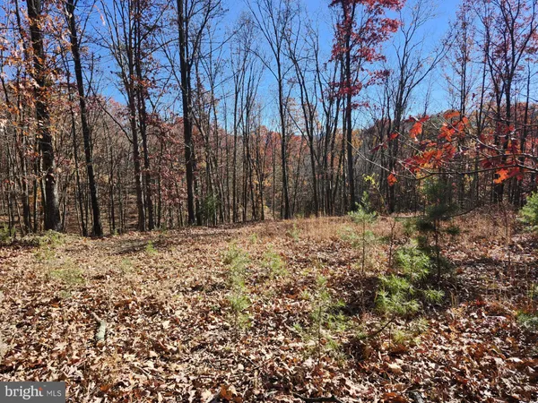 $29,500 | 176 Rendezvous Road, Delray, WV 26714