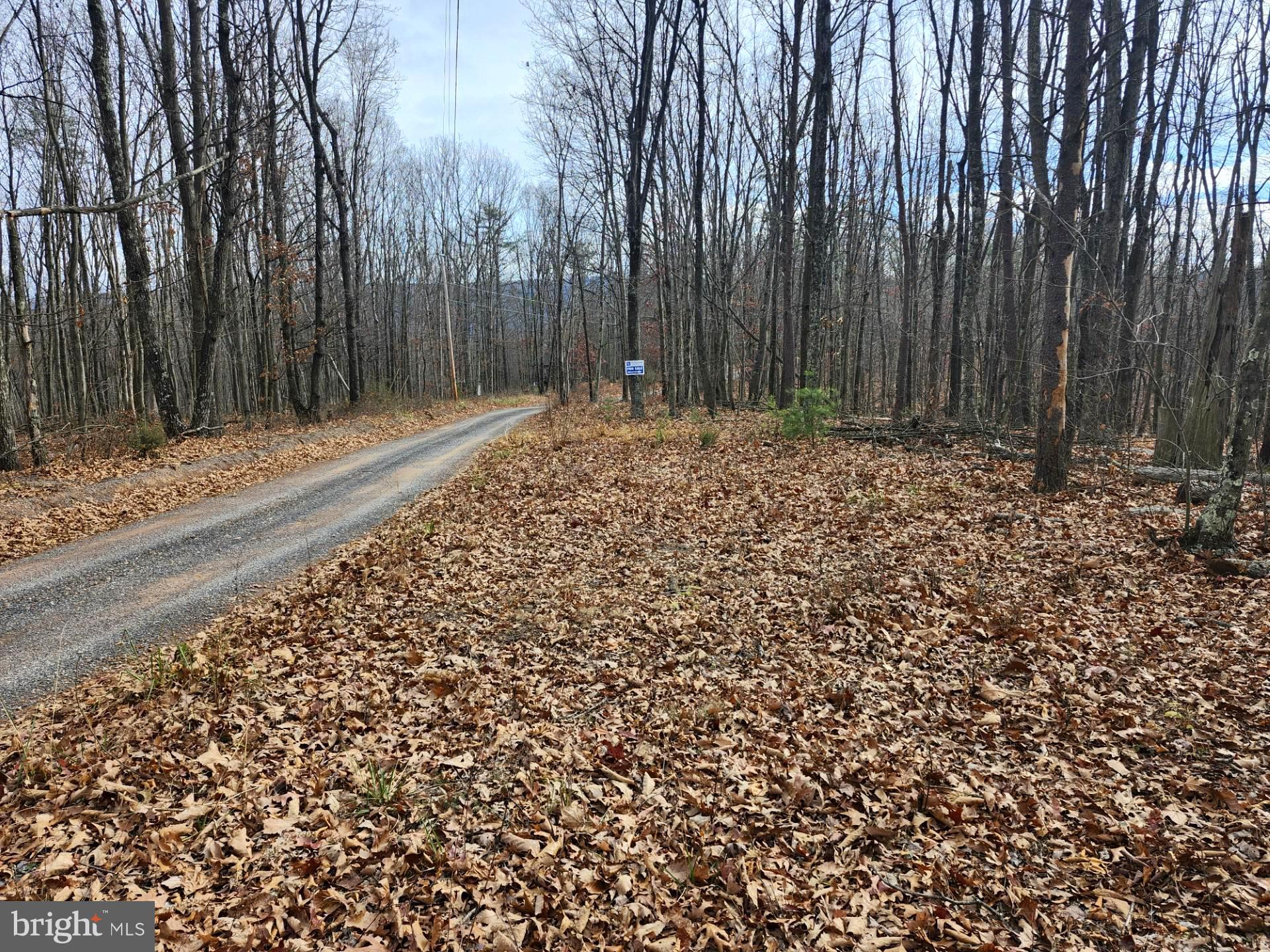 176 Rendezvous Road Delray, WV 26714 - Photo 17 of 23