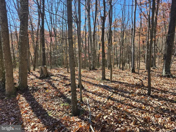 $29,500 | 176 Rendezvous Road, Delray, WV 26714