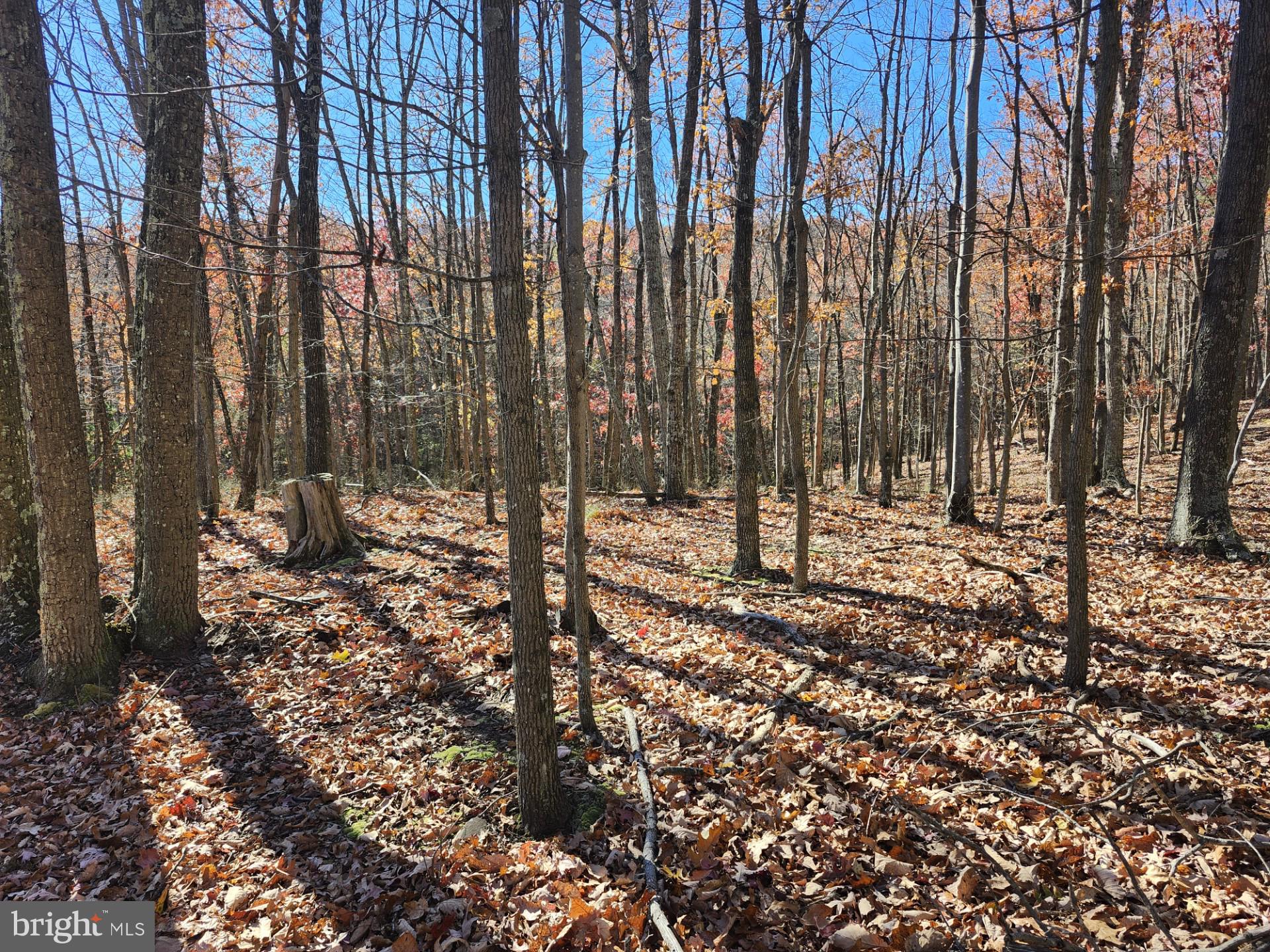 176 Rendezvous Road Delray, WV 26714 - Photo 18 of 23
