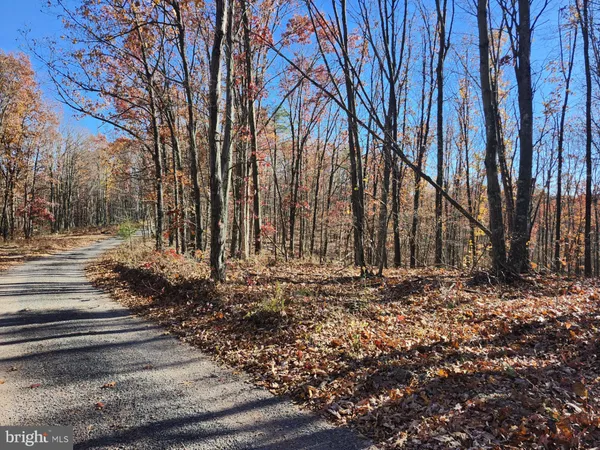 $29,500 | 176 Rendezvous Road, Delray, WV 26714
