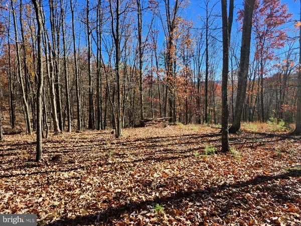 $29,500 | 176 Rendezvous Road, Delray, WV 26714