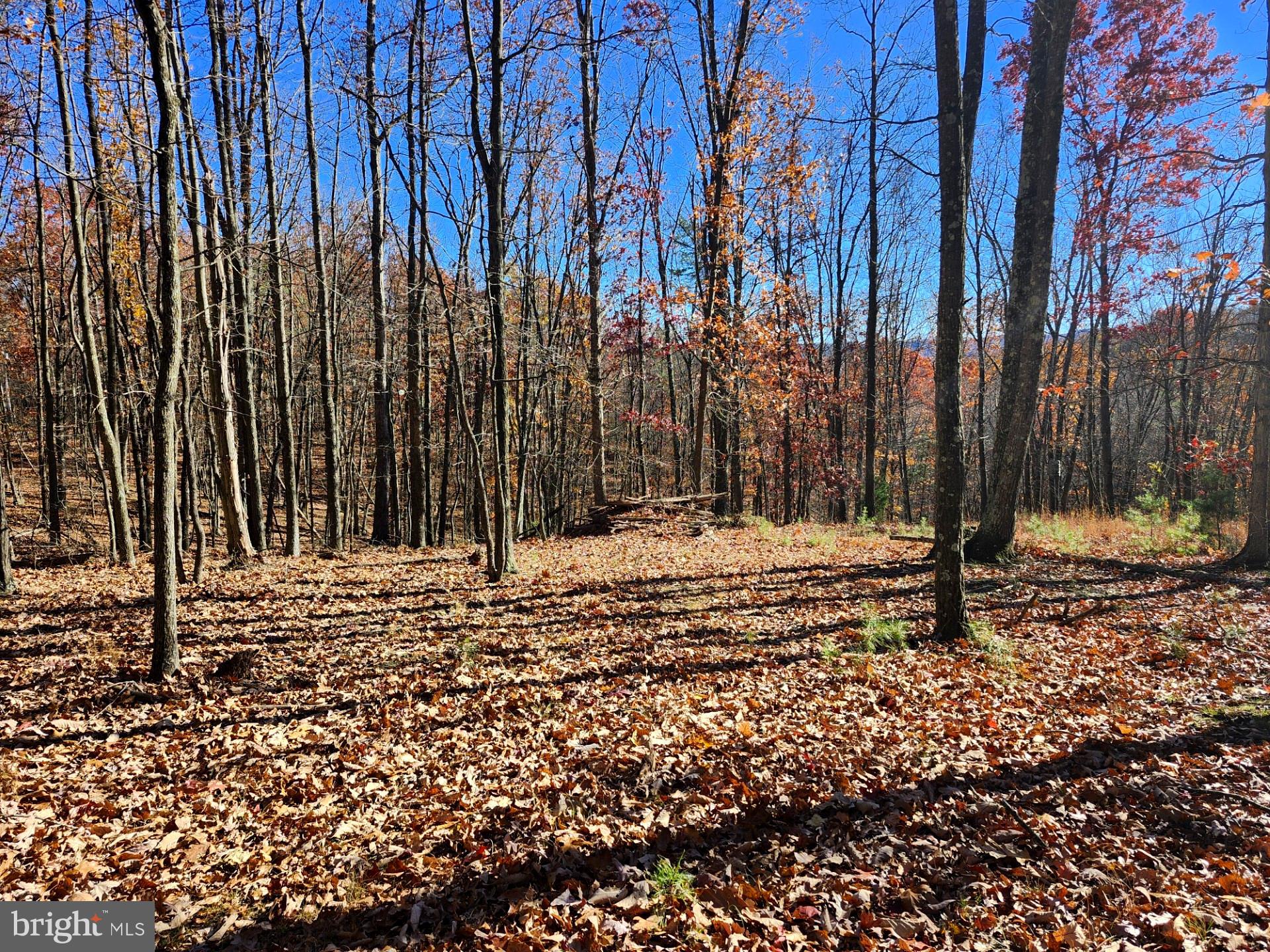 176 Rendezvous Road Delray, WV 26714 - Photo 2 of 23 HUGE LEVEL FLAT