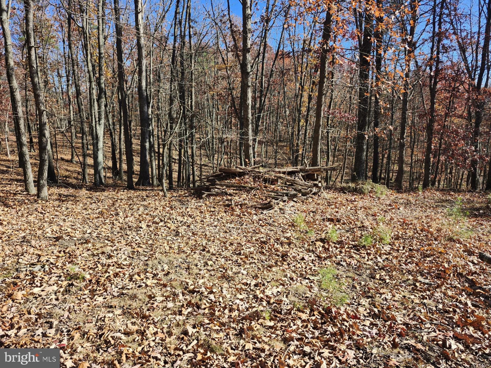 176 Rendezvous Road Delray, WV 26714 - Photo 22 of 23