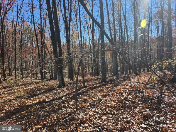 $29,500 | 176 Rendezvous Road, Delray, WV 26714