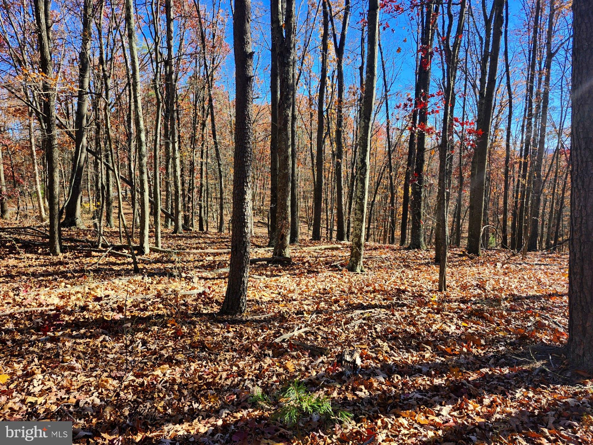 176 Rendezvous Road Delray, WV 26714 - Photo 3 of 23