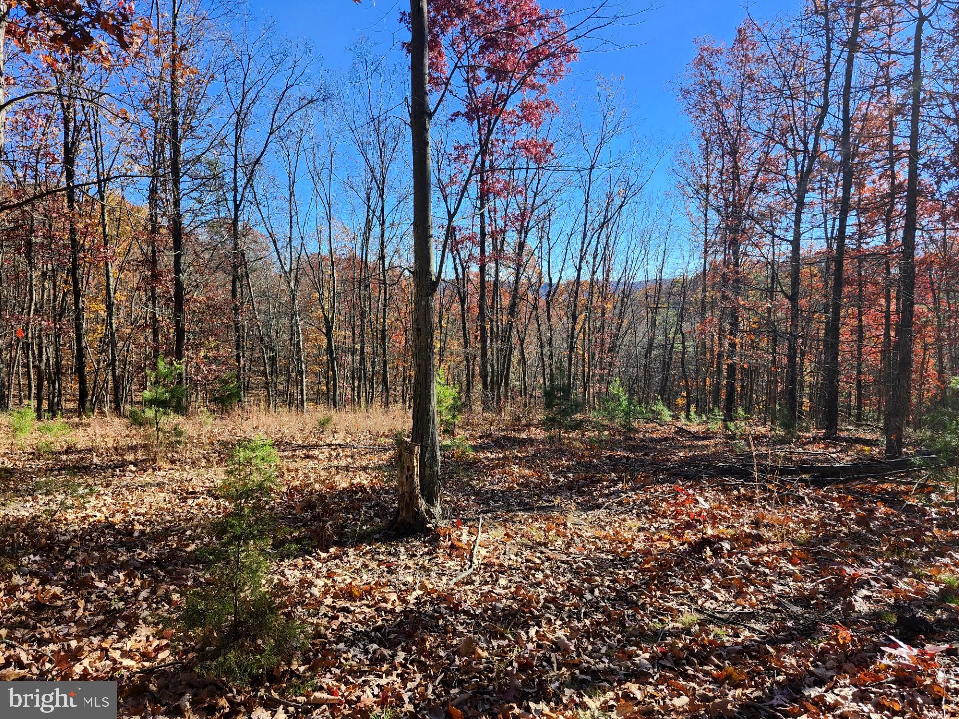176 Rendezvous Road Delray, WV 26714 - Photo 8 of 23