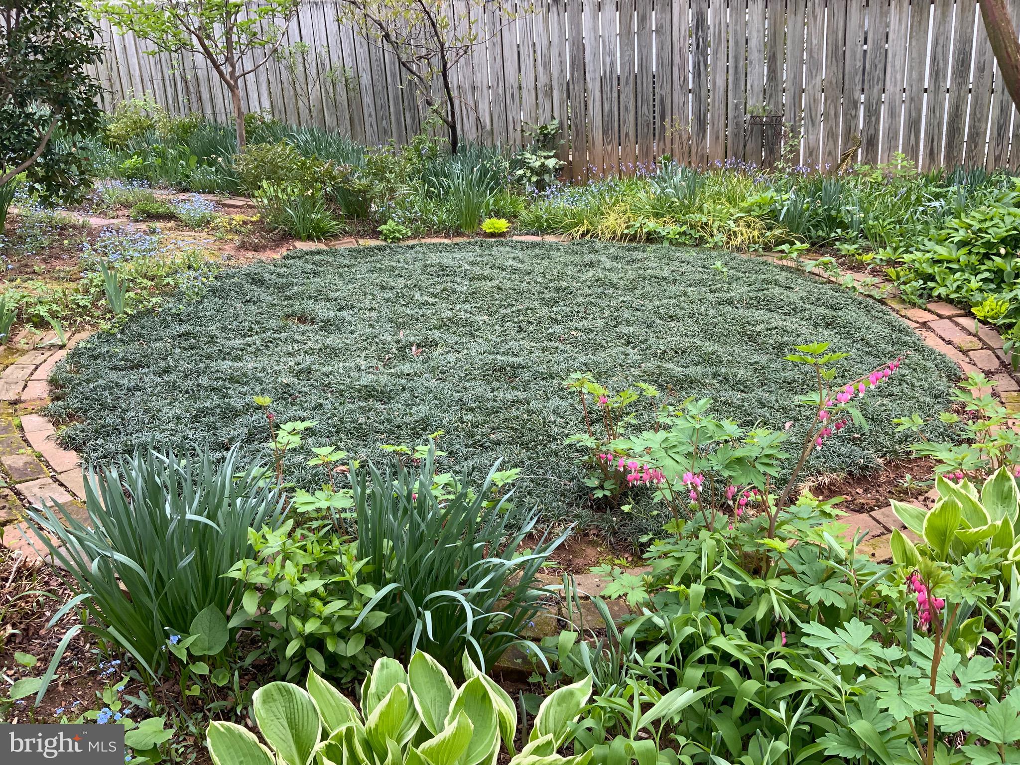 4507 Wilmslow Road Baltimore, MD 21210 - Photo 51 of 59 Amazing landscaping and beautiful gardens