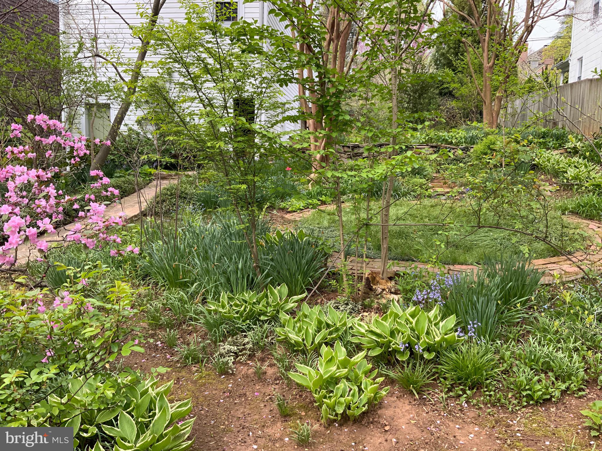 4507 Wilmslow Road Baltimore, MD 21210 - Photo 54 of 59 Amazing landscaping and beautiful gardens