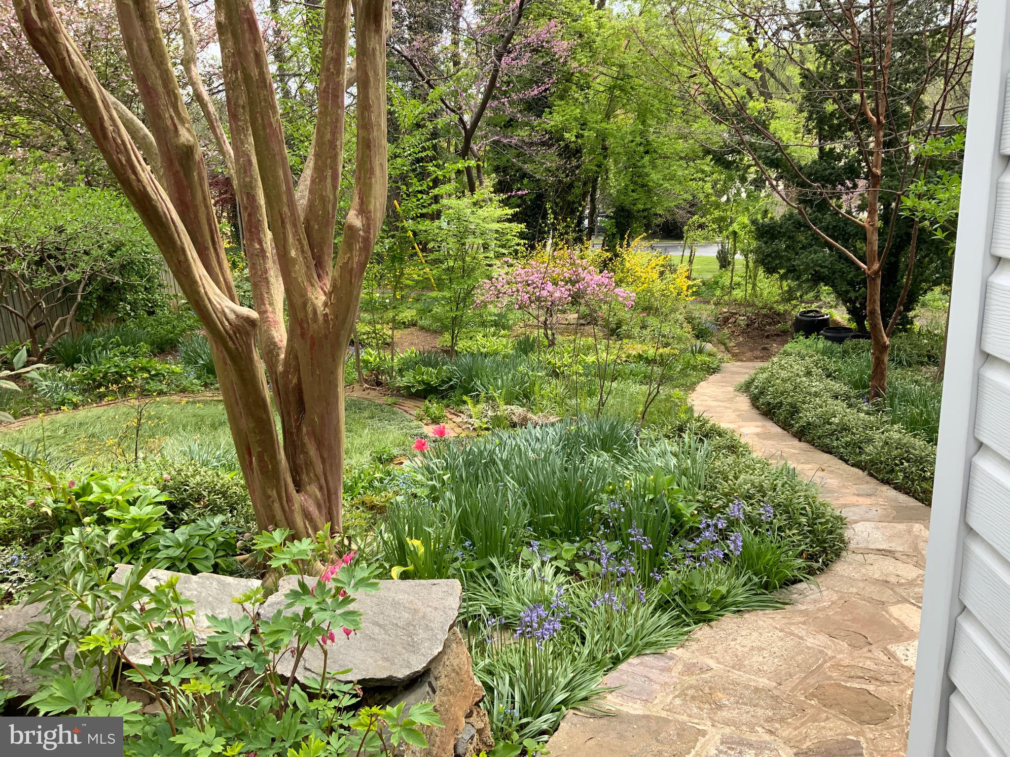 4507 Wilmslow Road Baltimore, MD 21210 - Photo 57 of 59 Multiple stone pathways thru-out the yard