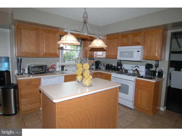 205 North Sandy Lane Sinking Spring, PA 19608 - Photo 6 of 15 Kitchen
