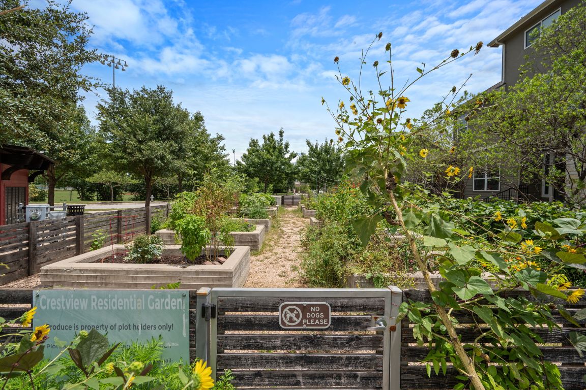 7408 Wildcat Pass Austin, TX 78757 - Photo 32 of 34