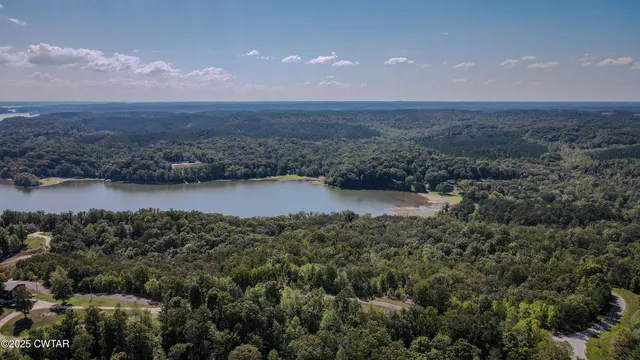 $65,000 | 0 River Cove, Big Sandy, TN 38221