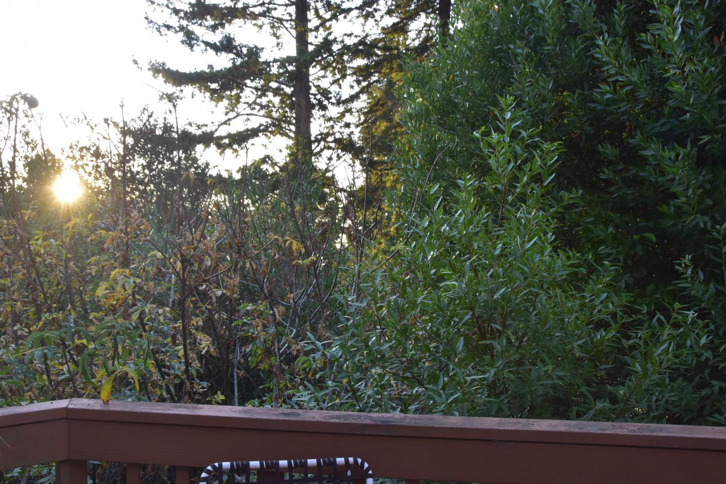 66 Poppy Lane Berkeley, CA 94708 - Photo 21 of 38
