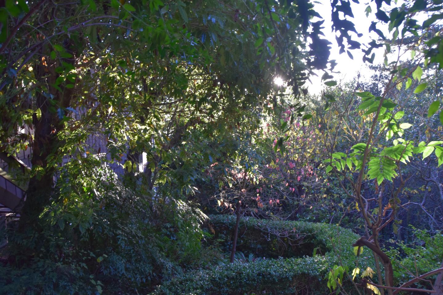 66 Poppy Lane Berkeley, CA 94708 - Photo 22 of 38
