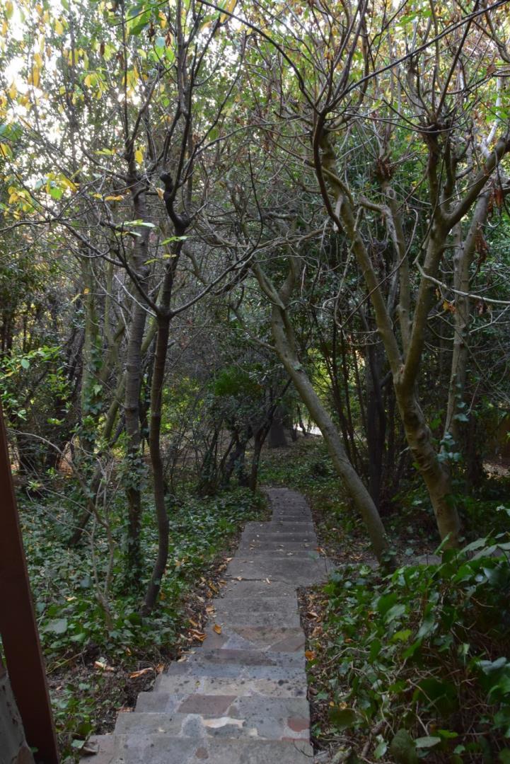 66 Poppy Lane Berkeley, CA 94708 - Photo 23 of 38 a backyard of a house with lots of green space