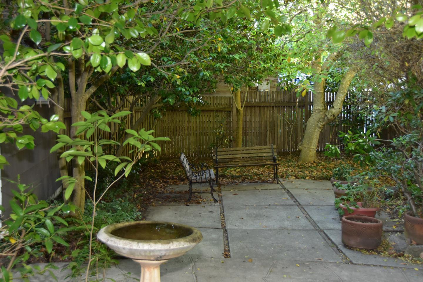 66 Poppy Lane Berkeley, CA 94708 - Photo 3 of 38 a view of a backyard with plants and a lake view