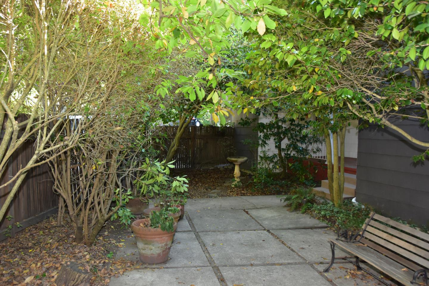 66 Poppy Lane Berkeley, CA 94708 - Photo 5 of 38 a backyard of a house with lots of green space