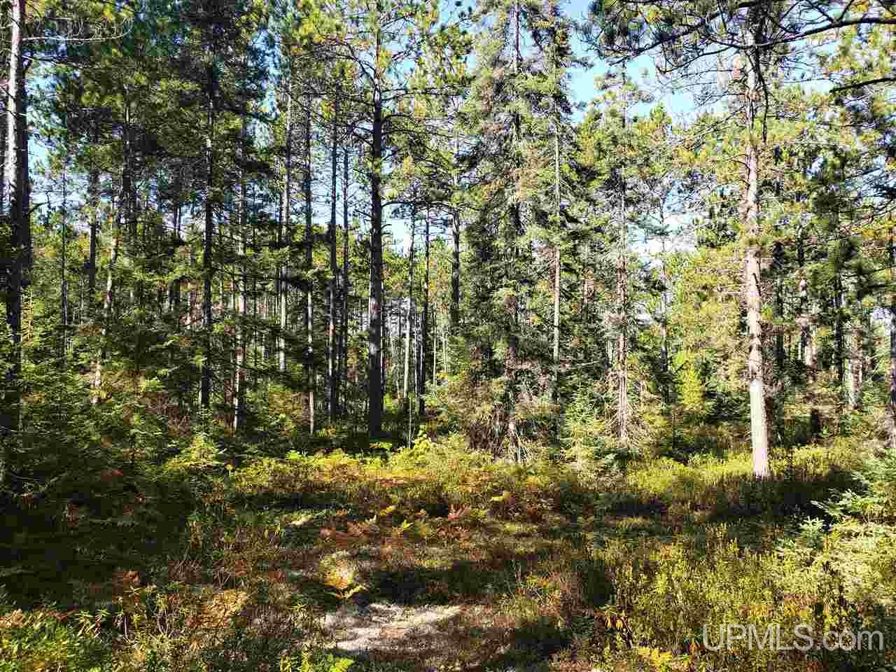 Tbd Little Rice Lake Road, Unit 54 Lake Linden, MI 49945 - Photo 3 of 15 Gallery Image 3