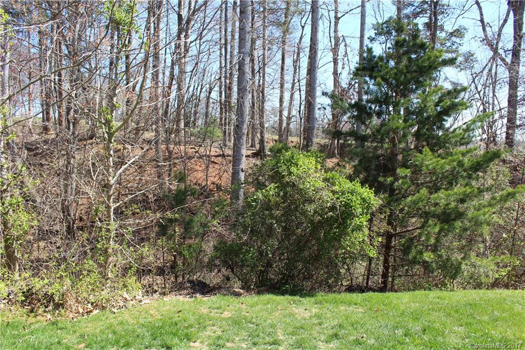 240 Mott Road Mooresville, NC 28115 - Photo 13 of 14 a view of backyard with pathway and trees