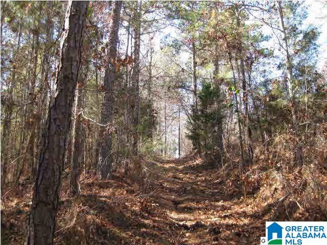 7525 Highway 13 Helena Al Helena, AL 35080 - Photo 3 of 6