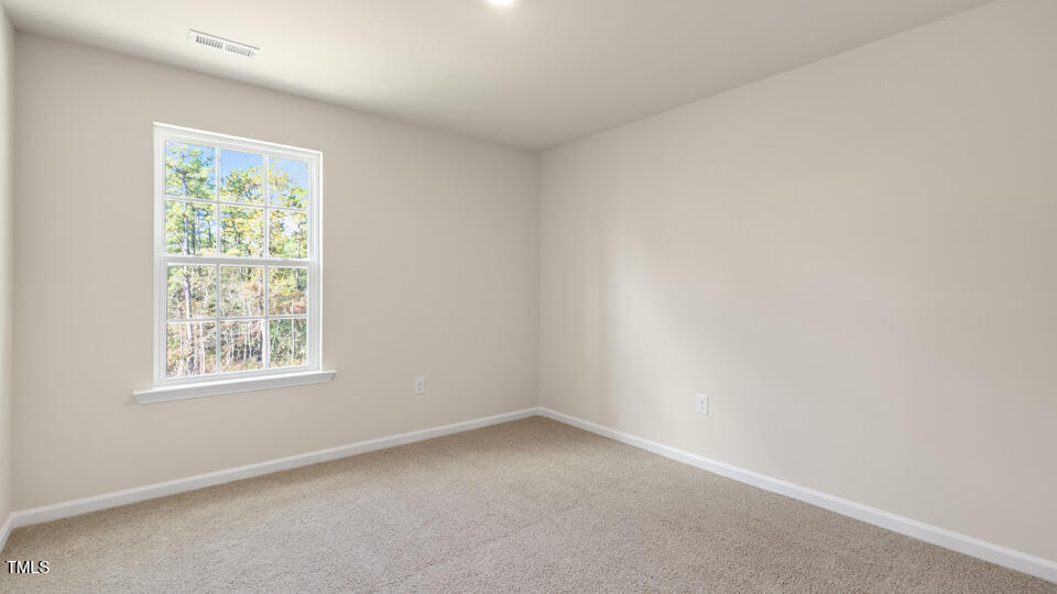 10780 Beard Way Bailey, NC 27807 - Photo 22 of 44 dr-horton-gretchen-pines-lot-73-023