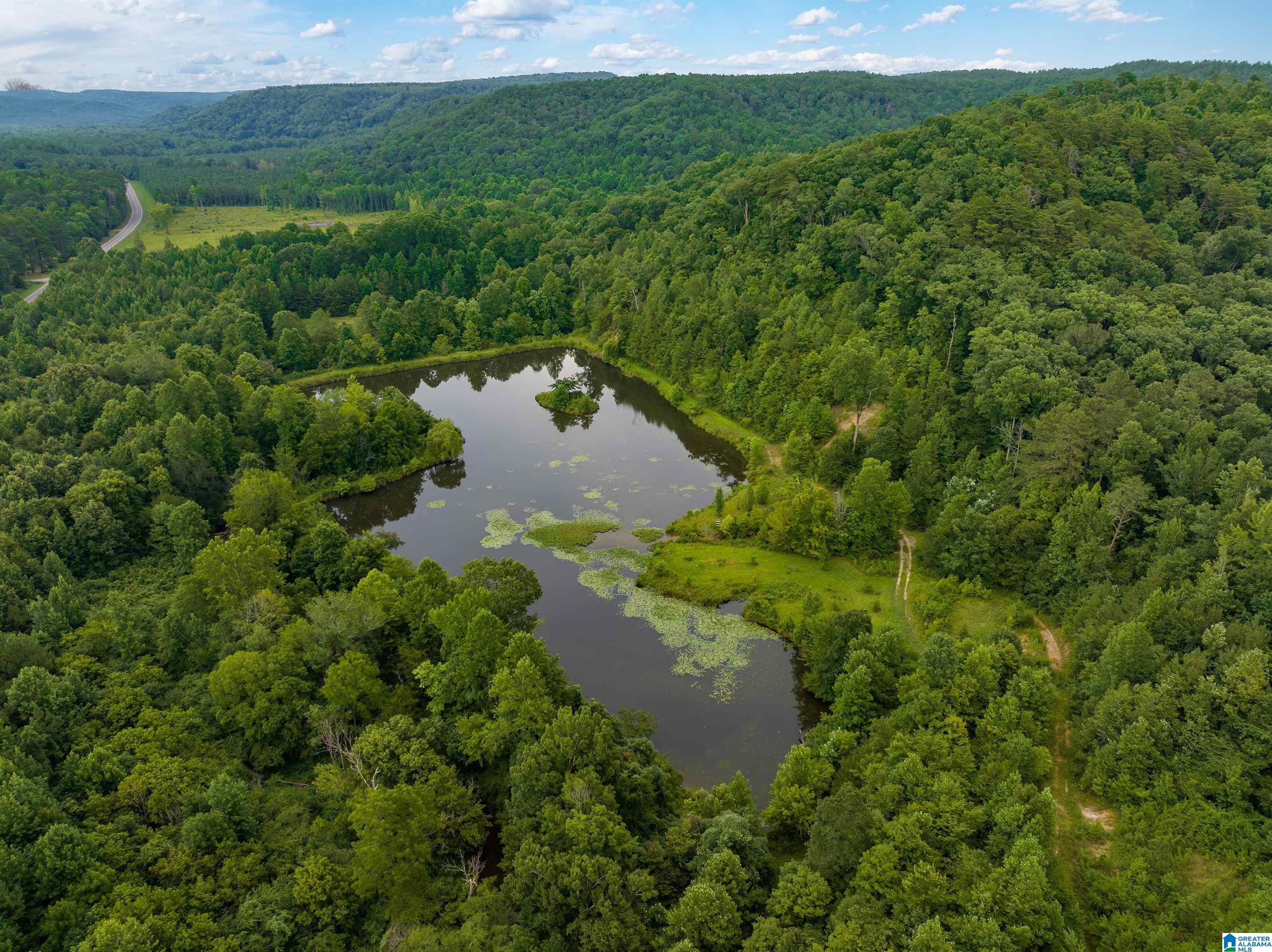 81 Frozen Hollow Road, Unit 32 Carbon Hill, AL 35549 - Photo 17 of 42