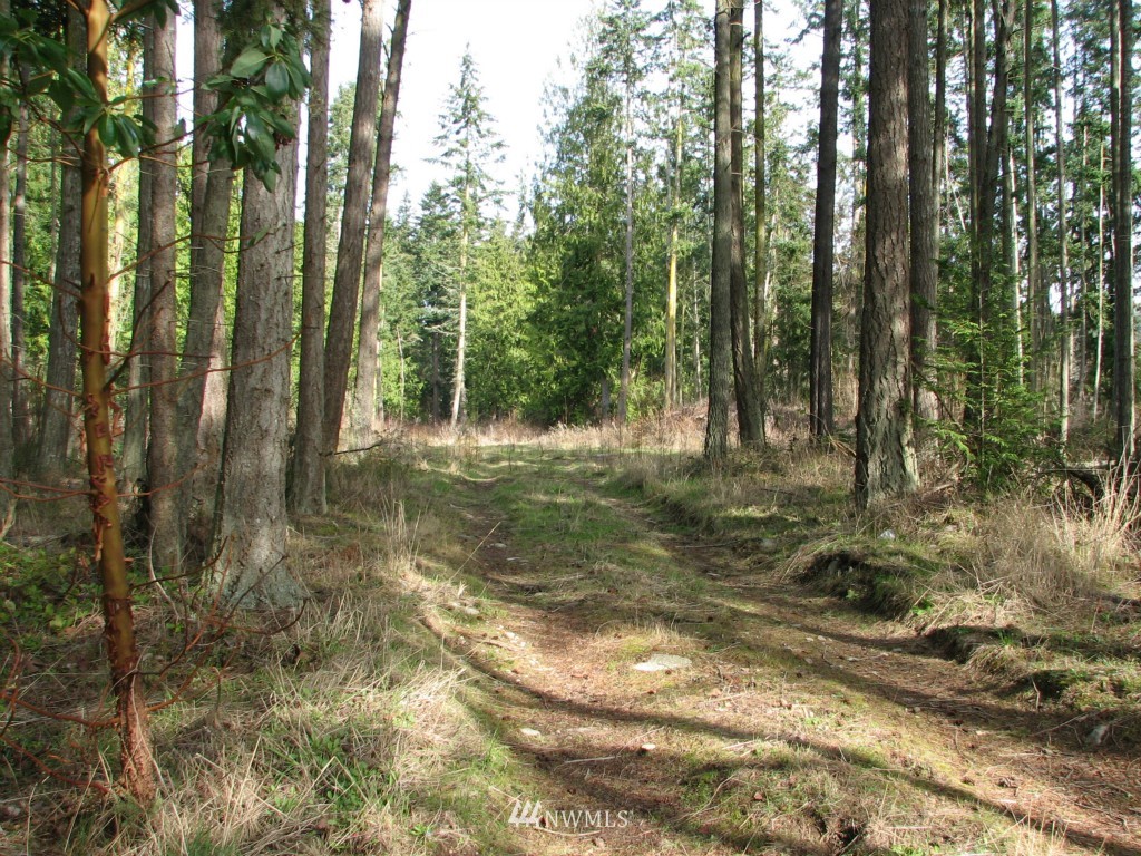 434 West Sullivan Road Oak Harbor, WA 98277 - Photo 1 of 25 Gallery Image 1