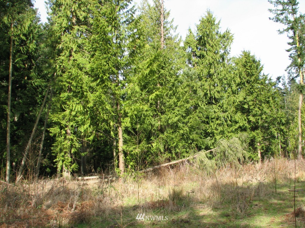 434 West Sullivan Road Oak Harbor, WA 98277 - Photo 11 of 25 Gallery Image 11