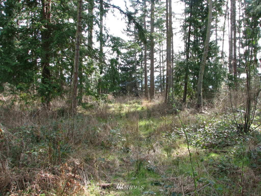434 West Sullivan Road Oak Harbor, WA 98277 - Photo 12 of 25 Gallery Image 12