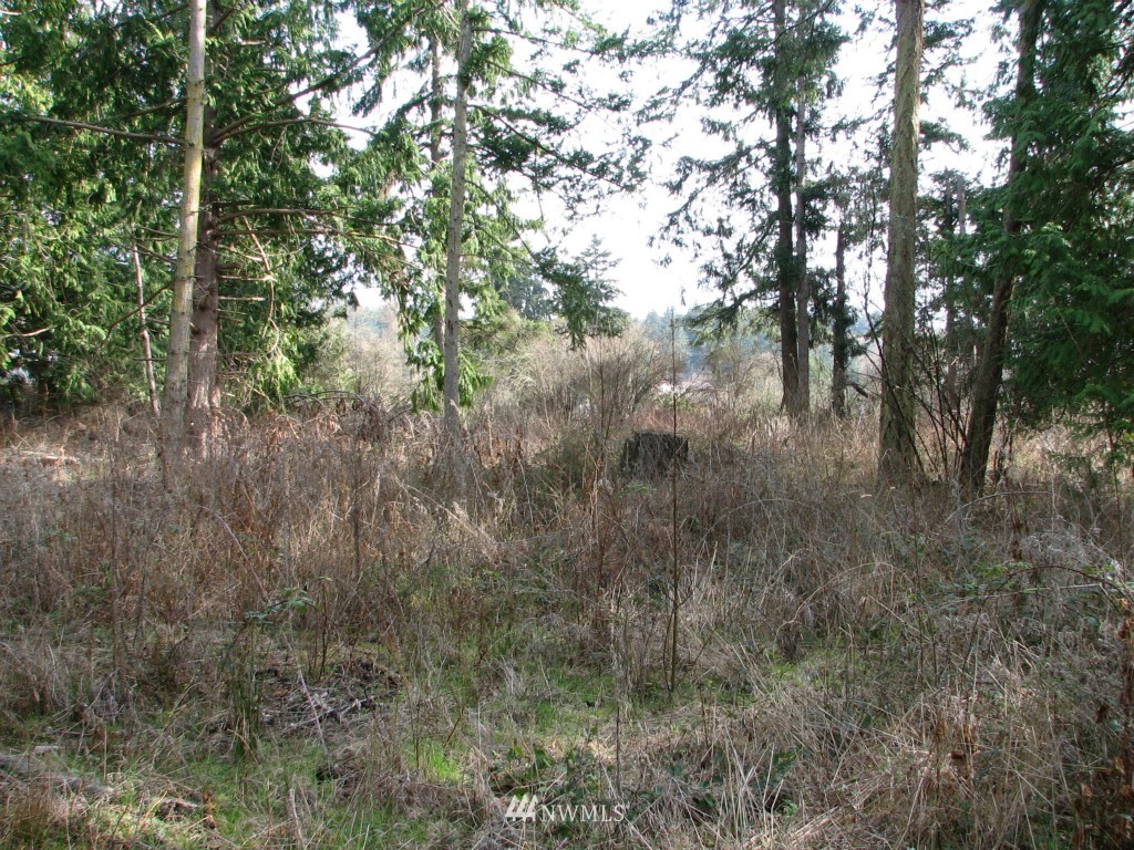 434 West Sullivan Road Oak Harbor, WA 98277 - Photo 13 of 25 Gallery Image 13
