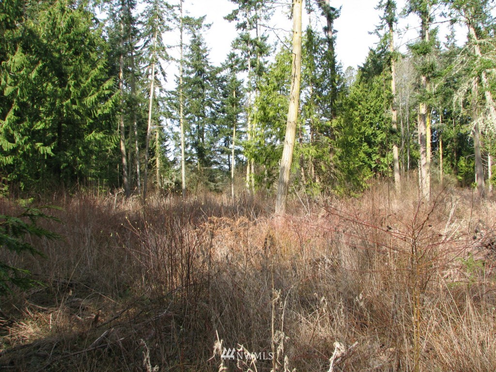 434 West Sullivan Road Oak Harbor, WA 98277 - Photo 15 of 25 Gallery Image 15