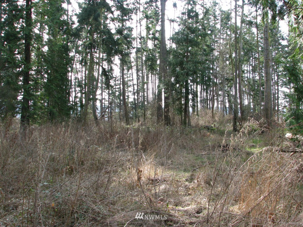 434 West Sullivan Road Oak Harbor, WA 98277 - Photo 16 of 25 Gallery Image 16