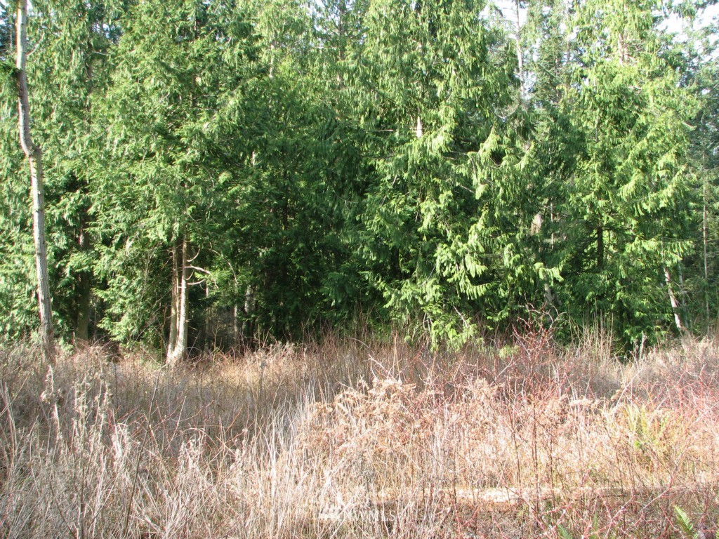 434 West Sullivan Road Oak Harbor, WA 98277 - Photo 17 of 25 Gallery Image 17
