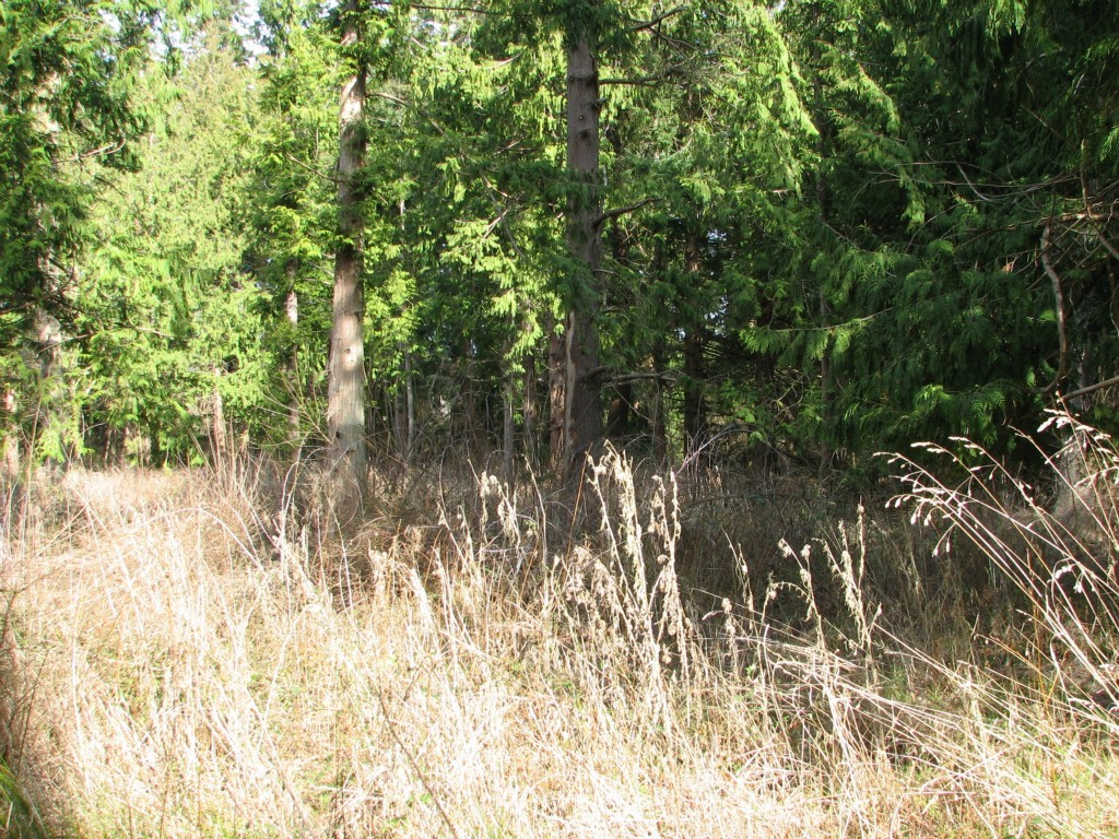 434 West Sullivan Road Oak Harbor, WA 98277 - Photo 19 of 25 Gallery Image 19