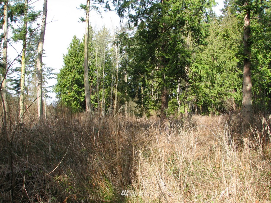 434 West Sullivan Road Oak Harbor, WA 98277 - Photo 20 of 25 Gallery Image 20