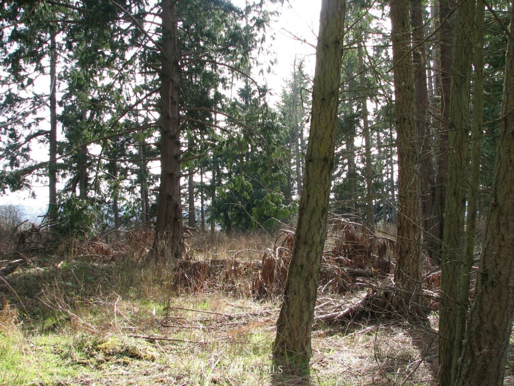 434 West Sullivan Road Oak Harbor, WA 98277 - Photo 21 of 25 Gallery Image 21