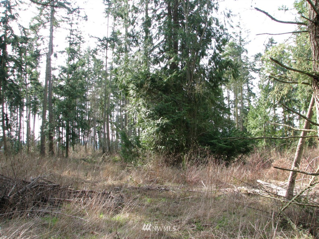434 West Sullivan Road Oak Harbor, WA 98277 - Photo 22 of 25 Gallery Image 22