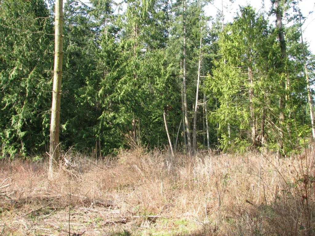 434 West Sullivan Road Oak Harbor, WA 98277 - Photo 23 of 25 Gallery Image 23