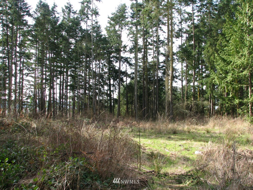 434 West Sullivan Road Oak Harbor, WA 98277 - Photo 24 of 25 Gallery Image 24