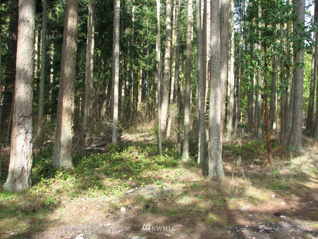 434 West Sullivan Road Oak Harbor, WA 98277 - Photo 5 of 25 Gallery Image 5