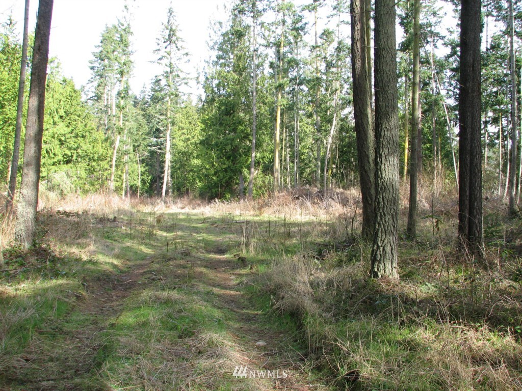 434 West Sullivan Road Oak Harbor, WA 98277 - Photo 7 of 25 Gallery Image 7