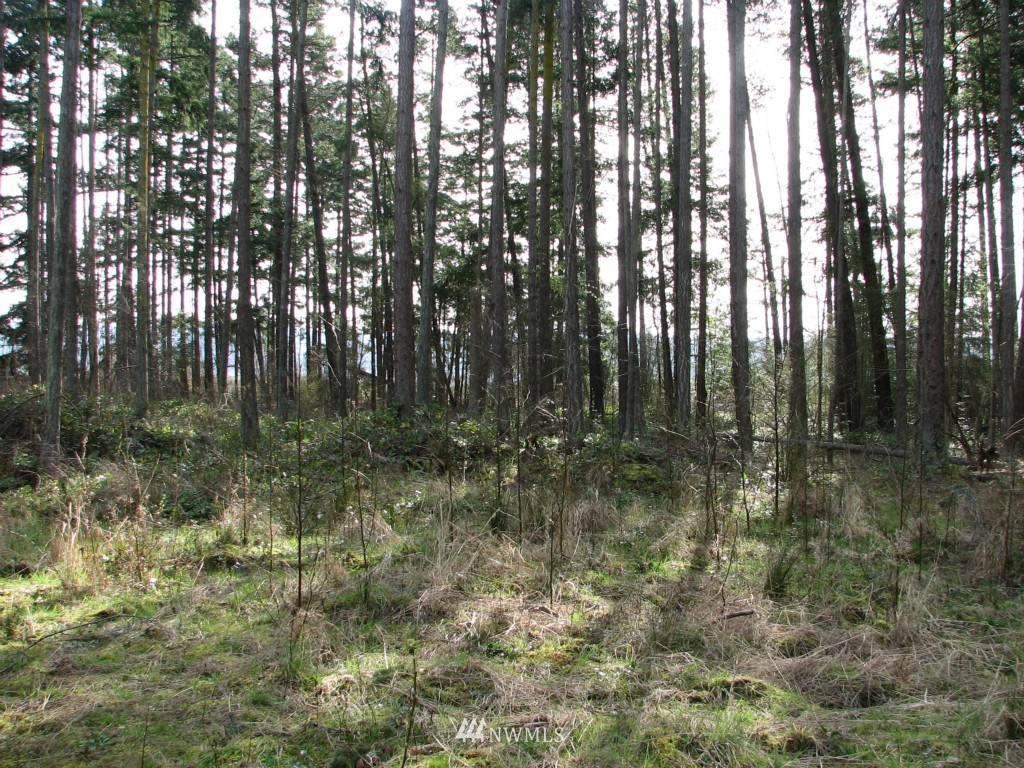 434 West Sullivan Road Oak Harbor, WA 98277 - Photo 8 of 25 Gallery Image 8