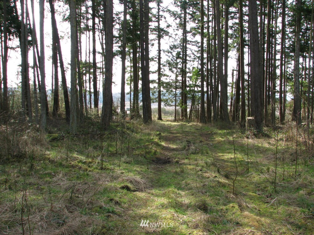 434 West Sullivan Road Oak Harbor, WA 98277 - Photo 9 of 25 Gallery Image 9