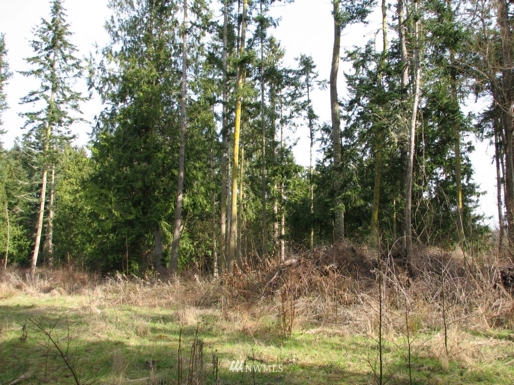 434 West Sullivan Road Oak Harbor, WA 98277 - Photo 10 of 25 Gallery Image 10