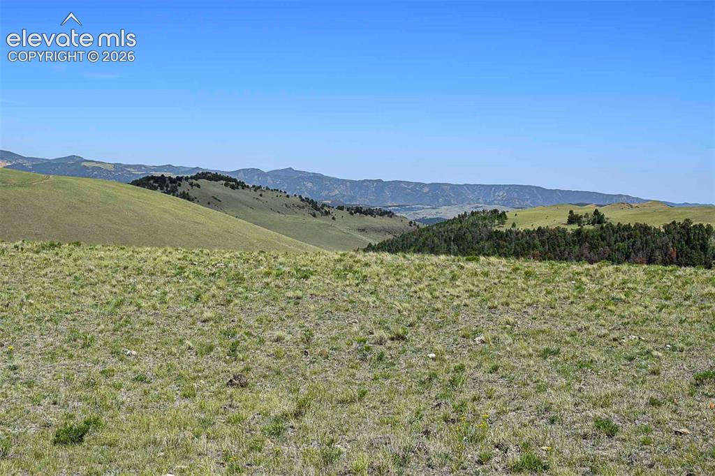 0 Bear Cat Road Guffey, CO 80820 - Photo 37 of 40